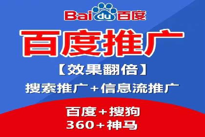 SEO策略在电商平台的成功应用案例