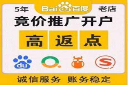 谷歌竞价案例：成功案例分析及启示